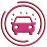 Limpiador Automoción